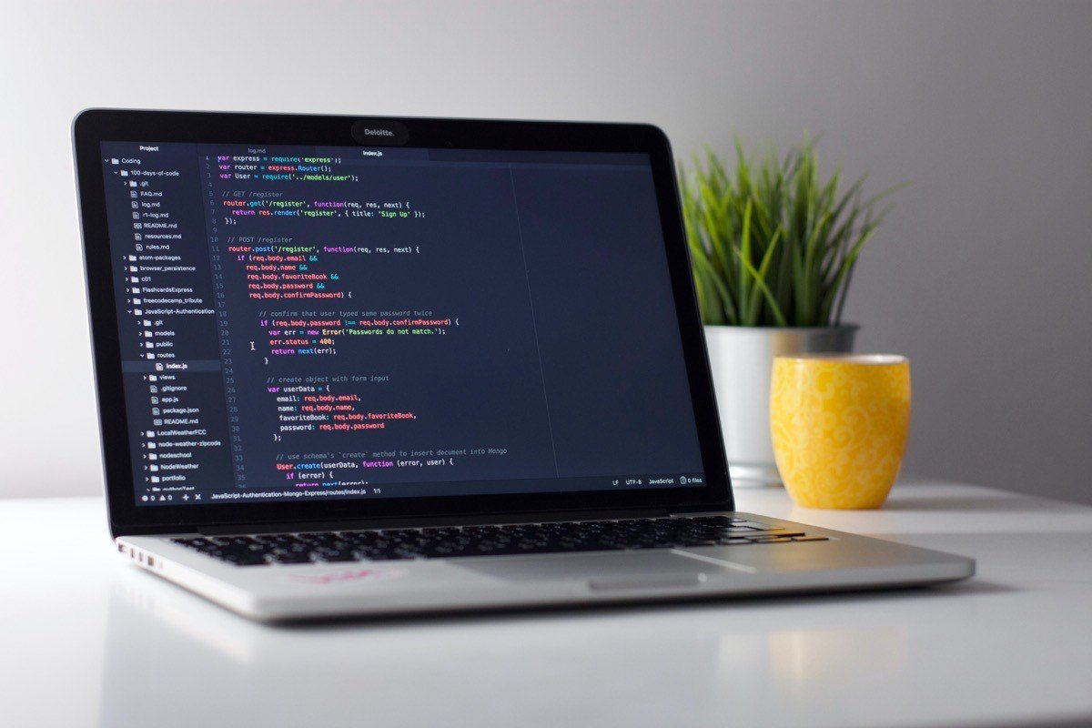 Desarrollador trabajando en una aplicación web